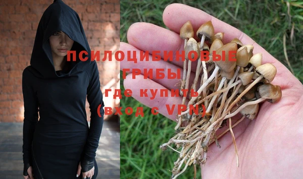 стаф Остров