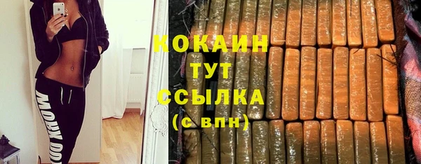 крисы Алзамай