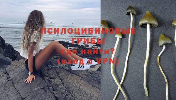 крисы Алзамай