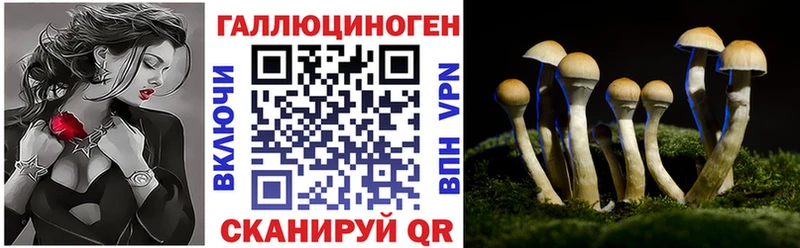 Галлюциногенные грибы Cubensis  kraken ТОР  Дербент 