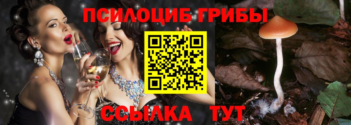 Псилоцибиновые грибы мицелий Дербент