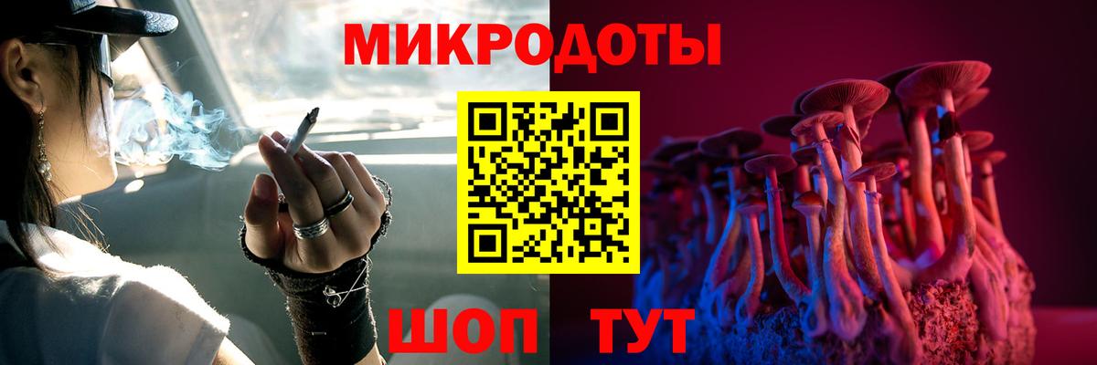 Дербент  Галлюциногенные грибы Psilocybe  Галлюциногенные грибы прущие грибы  Вход с VPN 