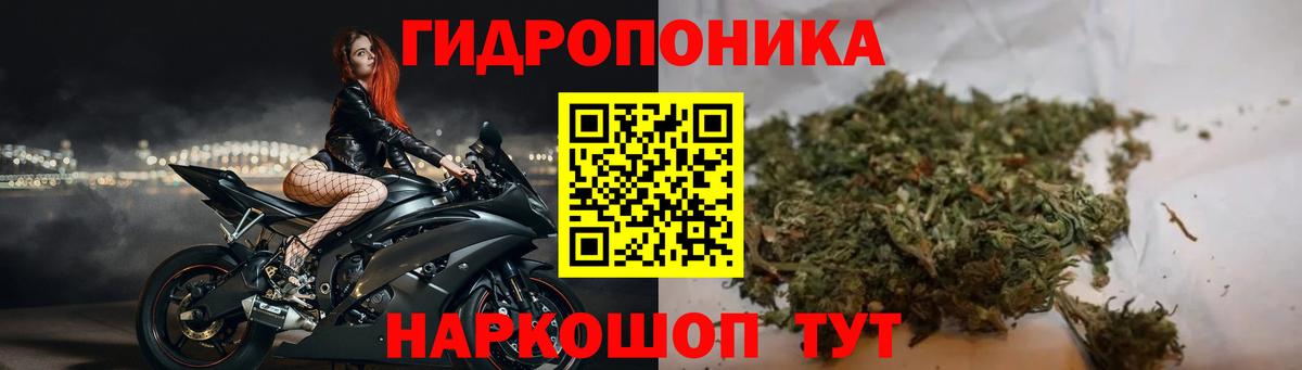 Марихуана гибрид  Канабис VHQ  Марихуана OG Kush  Дербент  Вход с VPN 